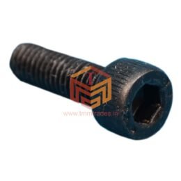 Body Screw (Medium )