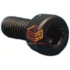 Oil Pump Screw (Small)
