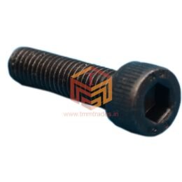 Oil Pump Screw (Big)
