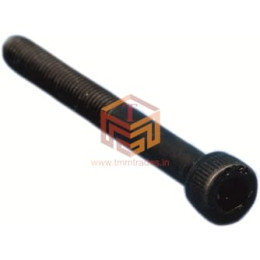 Carburator Bolt Big