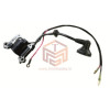 BC 43-52 CC Ignition Coil