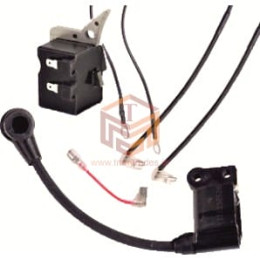62 CC Ignition Coil