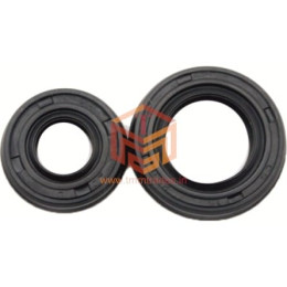 GX 35 Oil Seal Set