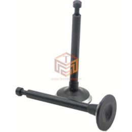 GX 35 Inlet & Outlet Valve