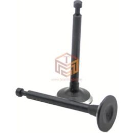 GX 35 Inlet & Outlet Valve