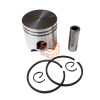 FS 120 Piston Set