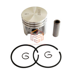 FS 250 Piston Set