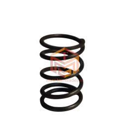 GX 25 Valve Spring