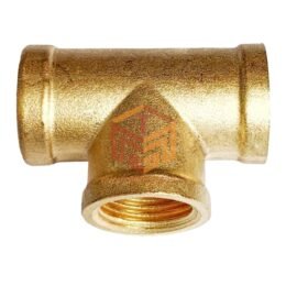 1/2 - T (Female) S120