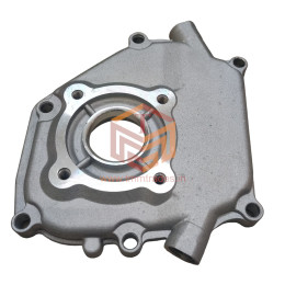 Petrol 168F Crank Case Cover