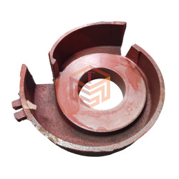 WP Swirling Shell - 2" / 3"