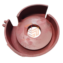 Alternative view of WP Swirling Shell - 2" / 3"