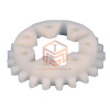 MS 381 Spur Gear