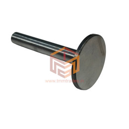 Alternative view of Tappet Diesel - 170-178F / 186F