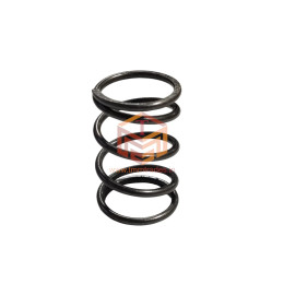 152F Valve Spring