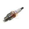 152F Spark Plug