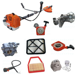 BC Sparta 44 Suitable