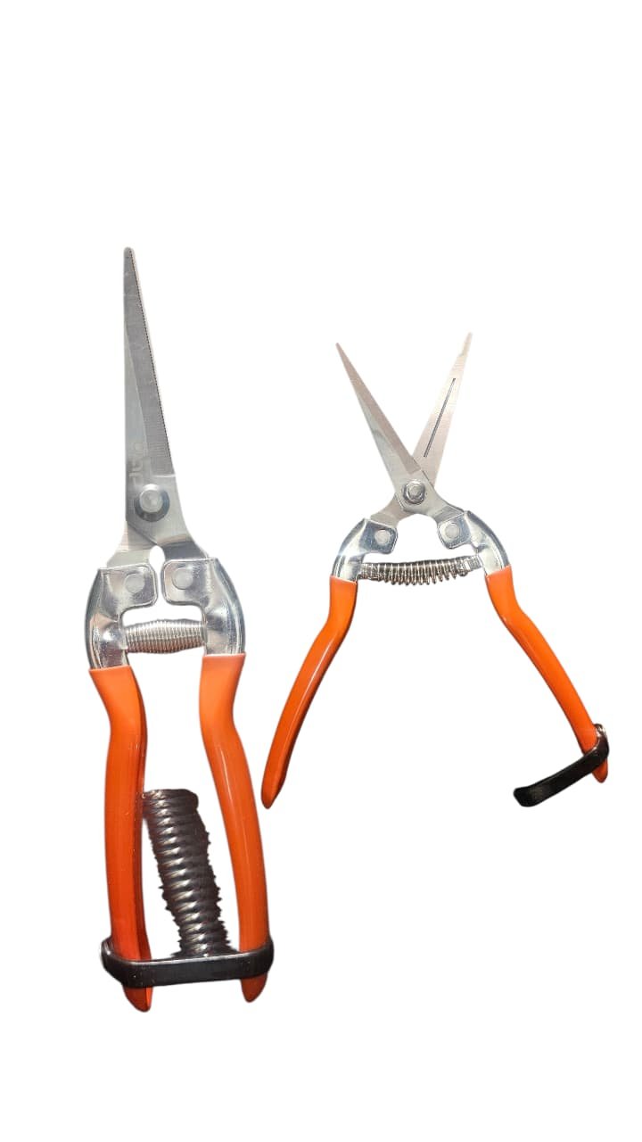 10108