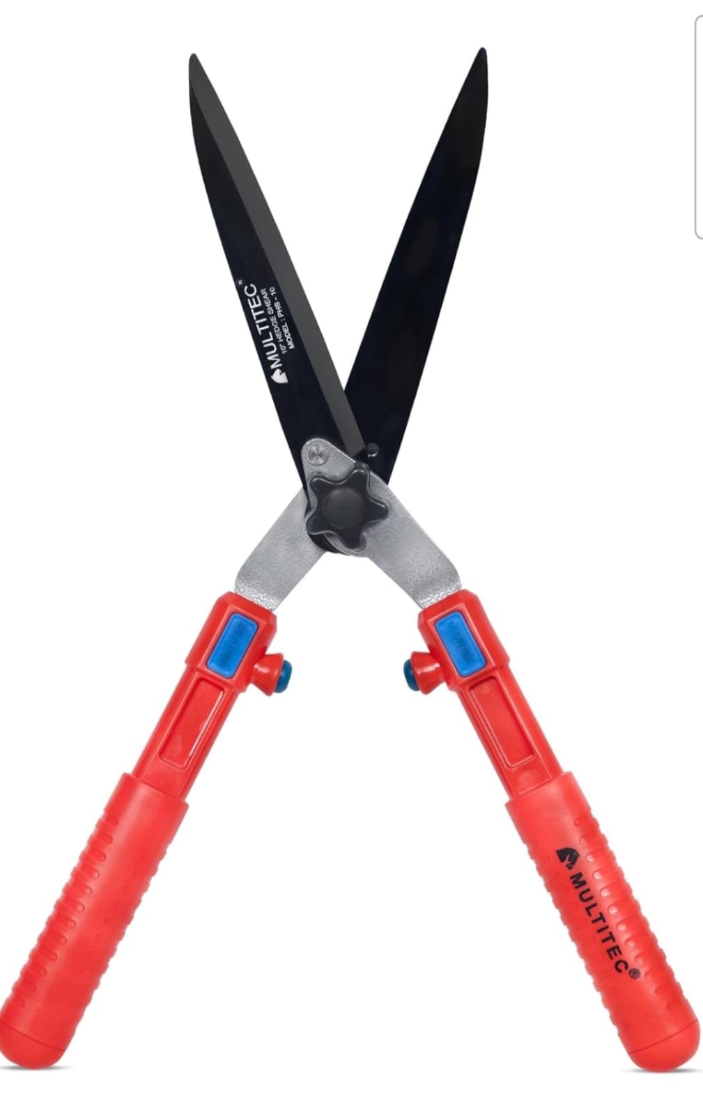 10202