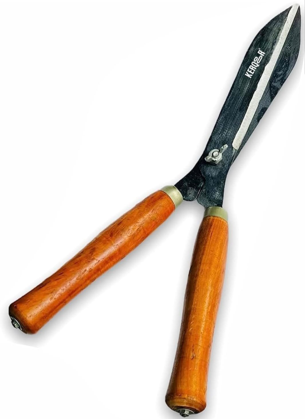 10205