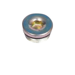 Cylinder Cover Allen Bolt (ZK11C)