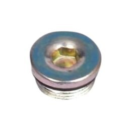 Cylinder Cover Allen Bolt (ZK11C)