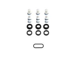 Seal, O Ring & Valve Set (13pcs) (ZK11C)