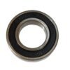 Bearing 6005 2RS HCH