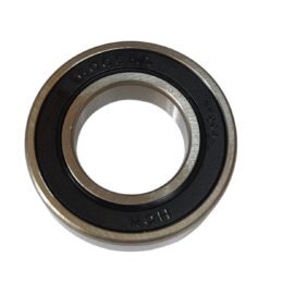Bearing 6005 2RS HCH