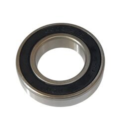 Bearing 6006 2RS HCH