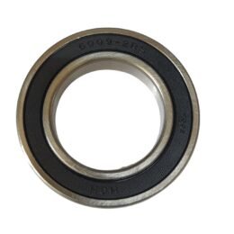 Bearing 6009 2RS HCH