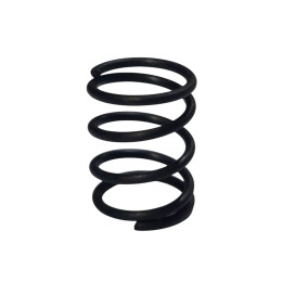 Compressed Spring 173FA
