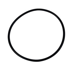Alternative view of PW GP 171 O Ring - 11x19 / 45x18 / 112x265