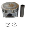 Petrol Piston With Pin & Circlip 177F - STD / 0.25 / 0.5