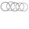 Petrol Rings Set Gx210 / Gx 200 - STD / 0.25 / 0.5