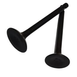 Petrol 177F Valve Set