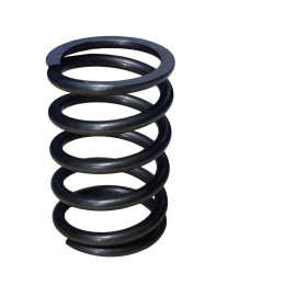 Petrol 177F Valve Spring