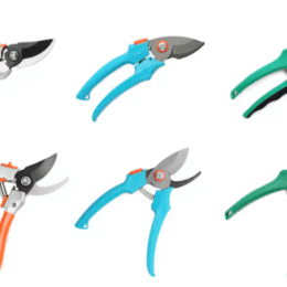 Pruning Secatures
